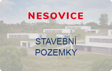 Nesovice